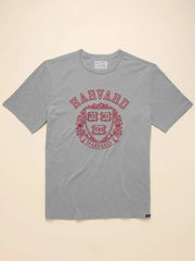 Harvard Sunwashed Tee - Granite Heather