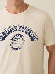 Georgetown Sunwashed Tee - Island Dune Heather
